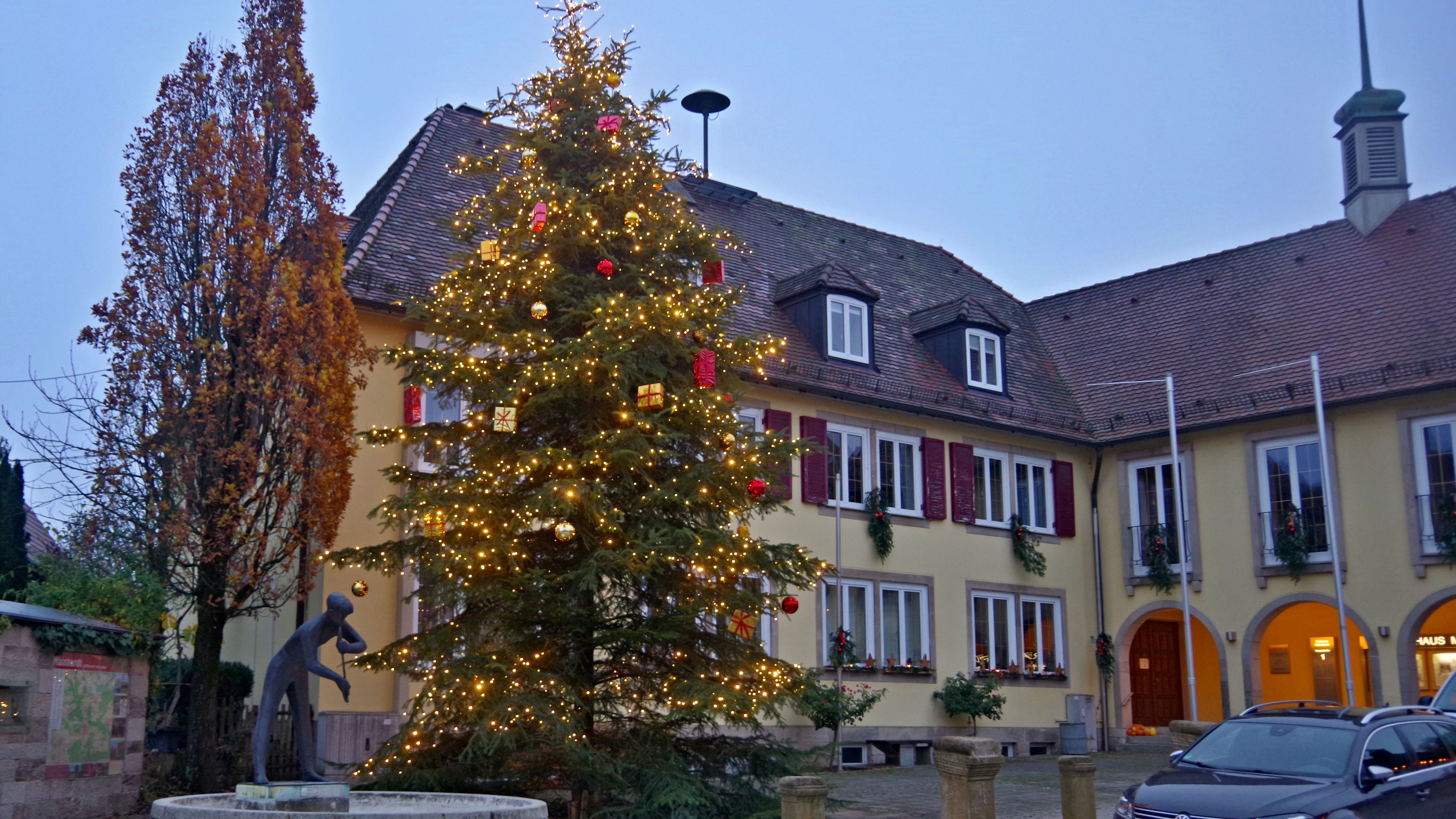  Geschmückter Weihnachtsbaum vor dem Rathaus 